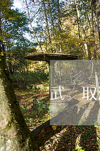 武漢取消限購(武漢取消限購令)