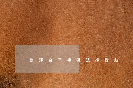 武漢合同律師法律援助
