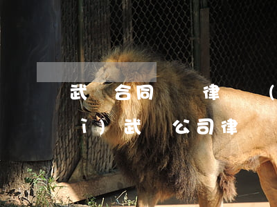 武漢合同糾紛律師團(tuán)隊(duì)(武漢公司律師)