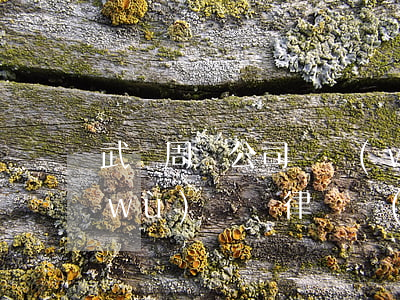 武漢周邊公司債務(wù)律師 武漢債務(wù)糾紛律師費(fèi)用