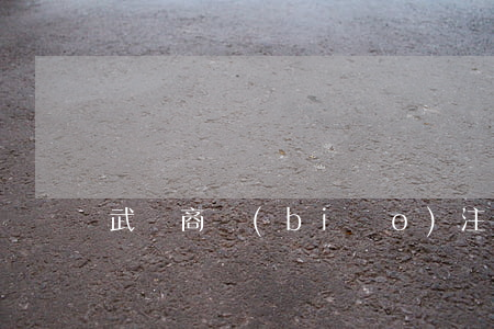 武漢商標(biāo)注冊(cè)