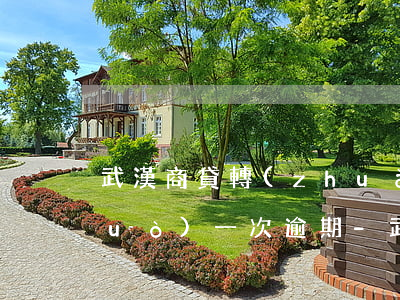 武漢商貸轉(zhuǎn)公積金有過(guò)一次逾期-武漢商貸轉(zhuǎn)公積金有過(guò)一次逾期怎么辦