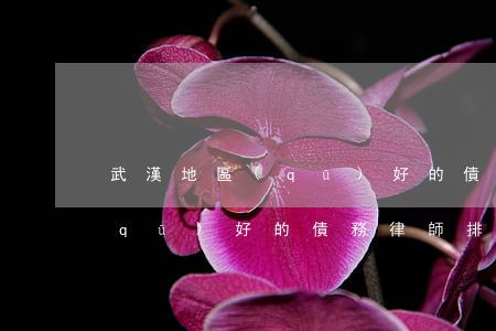 武漢地區(qū)好的債務律師(武漢地區(qū)好的債務律師排名)