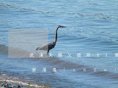 武漢夫婦欠信用卡7萬(欠信用卡妻離子散傾家蕩產(chǎn))