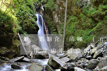 武漢婚姻介紹所哪個(gè)好(武漢婚姻介紹所成功率最高的哪一家)
