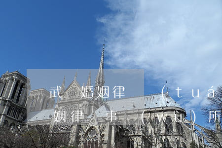 武漢婚姻律師團(tuán)隊(武漢資深婚姻律師事務(wù)所)