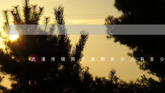 武漢市信用卡逾期多少人(有多少信用卡逾期)