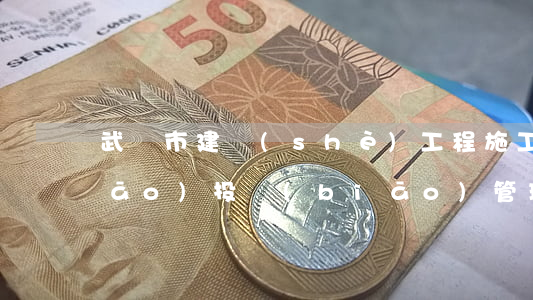 武漢市建設(shè)工程施工招標(biāo)投標(biāo)管理實(shí)施辦法有哪些