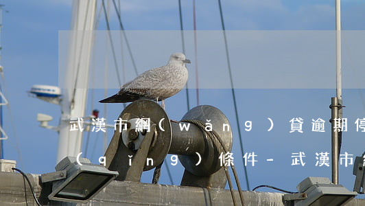 武漢市網(wǎng)貸逾期停息掛賬申請(qǐng)條件-武漢市網(wǎng)貸逾期停息掛賬申請(qǐng)條件是什么