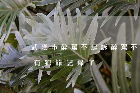 武漢市醉駕不起訴(醉駕不起訴了是不是就沒有犯罪記錄了)