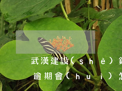 武漢建設(shè)銀行網(wǎng)貸逾期會(huì)怎么樣-02795045建行武漢