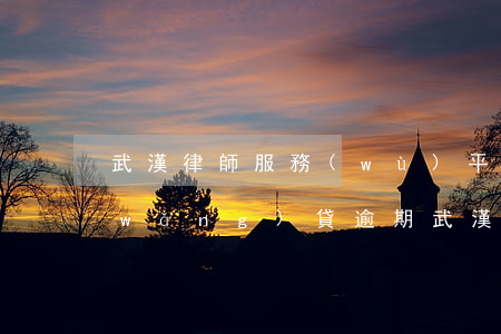 武漢律師服務(wù)平臺(tái)網(wǎng)貸逾期(武漢律師函是哪家網(wǎng)貸)
