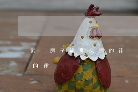 武漢房子逾期交房的律師(武漢房子逾期交房的律師)