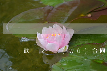 武漢找債務(wù)合同律師
