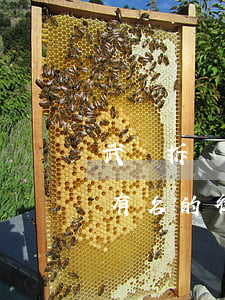 武漢拆遷律師事務(wù)所怎么樣(武漢最有名的律師事務(wù)所)