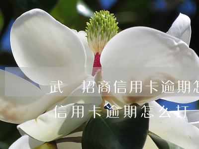 武漢招商信用卡逾期怎么打電話-武漢招商信用卡逾期怎么打電話催收