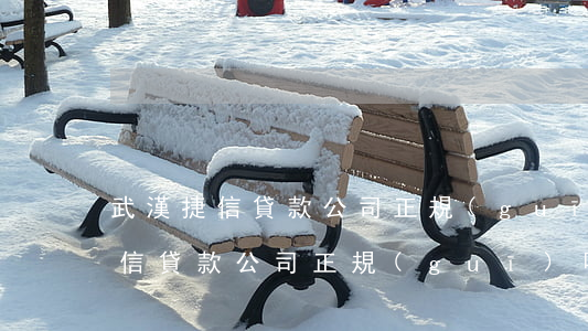武漢捷信貸款公司正規(guī)嗎(武漢捷信貸款公司正規(guī)嗎)