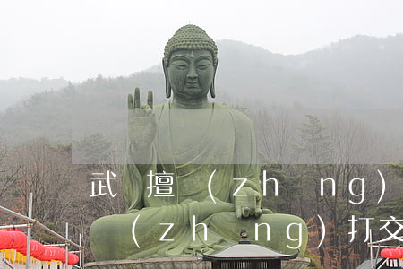 武漢擅長(zhǎng)交通事故的律師(擅長(zhǎng)打交通事故的律師)