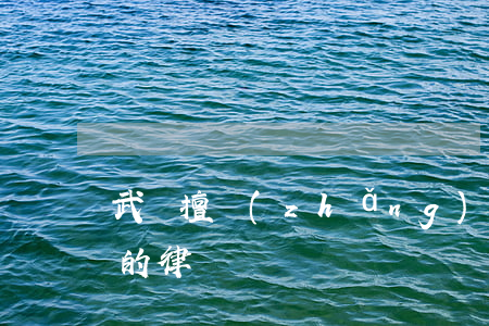 武漢擅長(zhǎng)醫(yī)療糾紛的律師