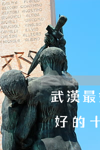 武漢最好的十大律師事務(wù)所(武漢最好的十大律師事務(wù)所有哪些)
