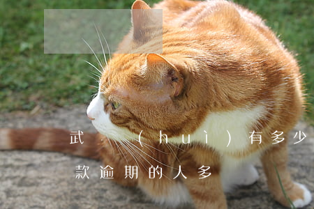 武漢會(huì)有多少人貸款逾期(今年貸款逾期的人多嗎)