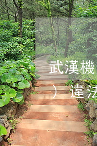 武漢機(jī)動(dòng)車(chē)違法申訴在哪里可以嗎(武漢交通違章申訴電話)