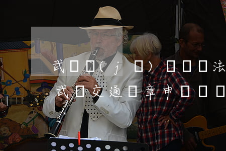 武漢機(jī)動車違法申訴在哪里可以嗎(武漢交通違章申訴電話)