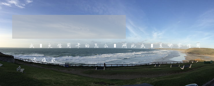 武漢欠信用卡的怎么辦(湖北武漢是哪家信用卡催收)