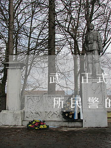 武漢正式編制警察一個月多少錢(武漢市派出所民警的工資大概多少錢一個月)