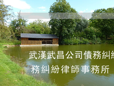 武漢武昌公司債務糾紛律師有哪些-武漢債務糾紛律師事務所