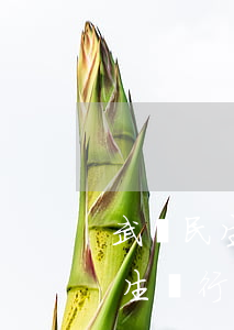 武漢民生銀行信用卡逾期停息掛賬-武漢民生銀行信用卡逾期停息掛賬怎么辦