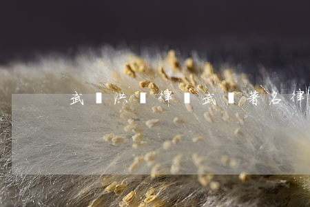 武漢洪偉律師(武漢著名律師)