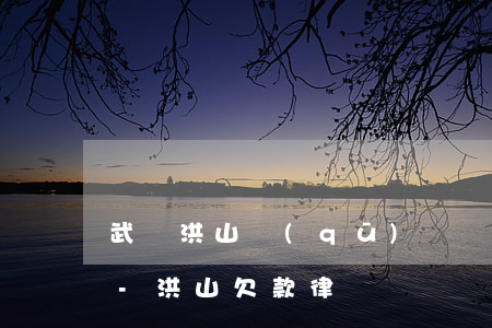武漢洪山區(qū)債務糾紛律師咨詢電話-洪山欠款律師