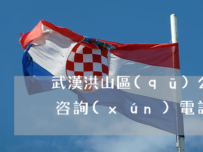 武漢洪山區(qū)公司債務(wù)律師咨詢(xún)電話(huà)-武漢洪山區(qū)公司債務(wù)律師咨詢(xún)電話(huà)號(hào)碼