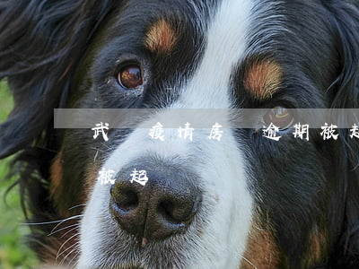 武漢疫情房貸逾期被起訴(武漢疫情房貸逾期被起訴)