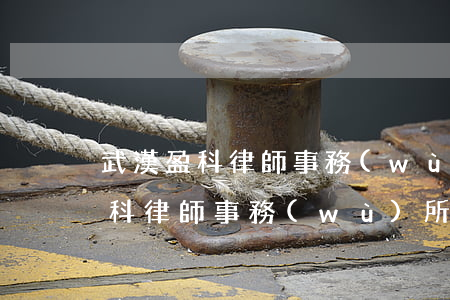 武漢盈科律師事務(wù)所怎么樣(武漢盈科律師事務(wù)所地址)
