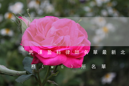武漢盈科律師名單最新(北京盈科武漢律師事務(wù)所名單)
