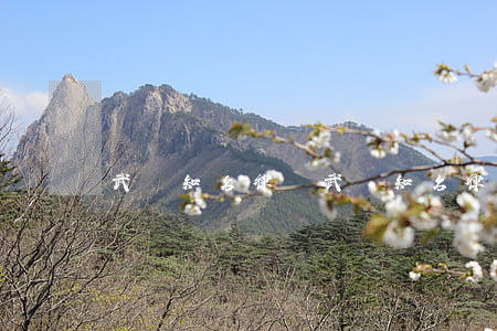 武漢知名律師(武漢知名律師張小軍)