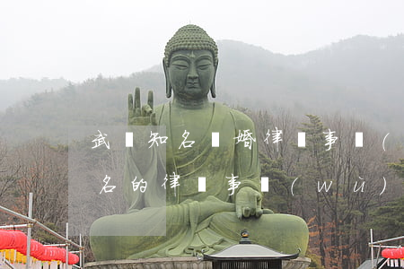 武漢知名離婚律師事務(wù)所(武漢市有名的律師事務(wù)所)