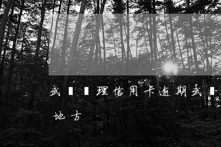 武漢處理信用卡逾期(武漢處理信用卡逾期的地方)