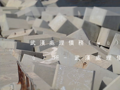 武漢處理債務(wù)逾期的律師事務(wù)所-武漢處理債務(wù)逾期的律師事務(wù)所在哪