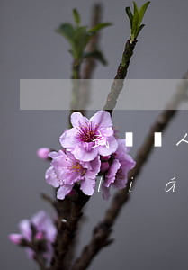 武漢請人打架多少錢(武漢找人打架怎么聯(lián)系)