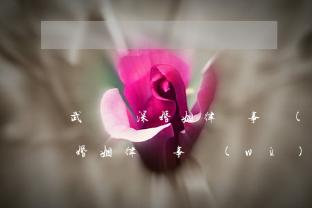 武漢資深婚姻律師事務(wù)所(武漢資深婚姻律師事務(wù)所)