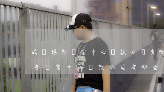 武漢越秀財富中心貸款公司有哪些-武漢越秀財富中心貸款公司有哪些公司