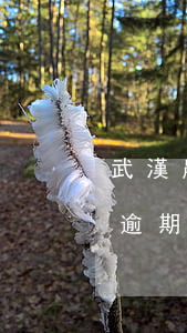 武漢農(nóng)業(yè)銀行信用卡逾期(農(nóng)業(yè)銀行信用卡逾期多久會有不良記錄)