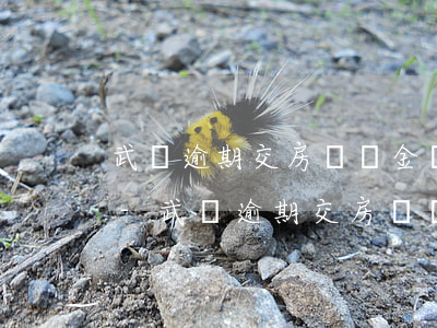 武漢逾期交房違約金計(jì)算裝修款嗎-武漢逾期交房違約金計(jì)算裝修款嗎