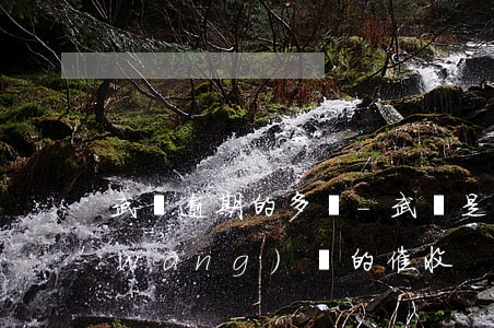 武漢逾期的多嗎-武漢是哪個(gè)網(wǎng)貸的催收