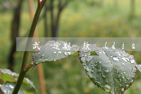 武漢逾期貸款調(diào)解公司