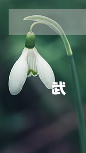 武漢還不起貸款怎么辦（武漢還不起貸款怎么辦）