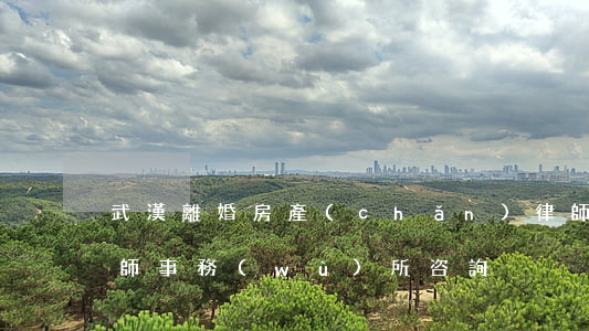 武漢離婚房產(chǎn)律師(武漢離婚律師事務(wù)所咨詢)